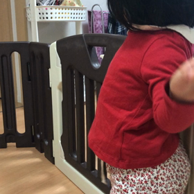 忙しすぎてさきちゃんの写真が撮れないの画像