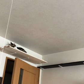 夜パンプ行きたいけど… 元気デールはいつも降りるだけ…の画像