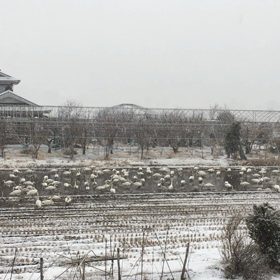 腹ごしらえの画像