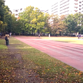 競技場練習(100m)⑥の画像