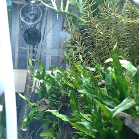 朝から(^m^)の画像