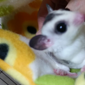 元気だよ⤴の画像