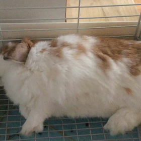 チョット太りましたか？(^-^)の画像