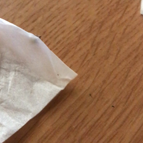 おにぎりに虫が…酷くない ※閲覧注意の画像