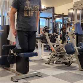 ノルディックハムレイズの画像