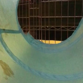 今日のふづきちゃんの画像