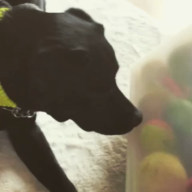 またも 超能力の画像