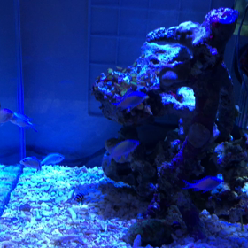 動画&動画！の画像