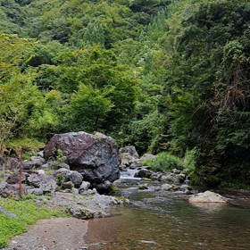 快眠スポット発見！の画像