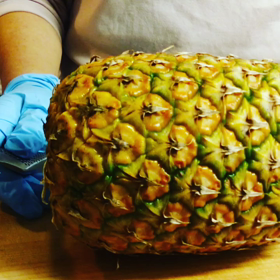 最近ビックリしたこと！ の画像