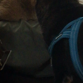 あやしい二人の画像