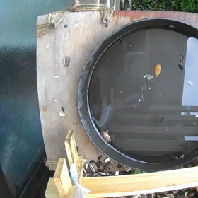 すぎぴたんの事件簿シーズン2　326話（ヘビ、((((；ﾟДﾟ))))ｶﾞｸｶﾞｸﾌﾞ）の画像