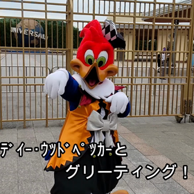 ユニバ、ウッディーとグリーティング（動画）。の画像