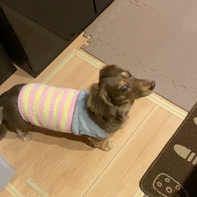 喜びの舞♡の画像