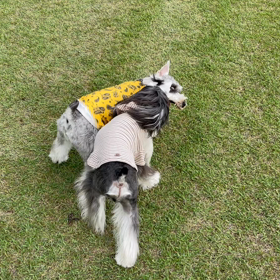 ワンプロ仲間！の画像