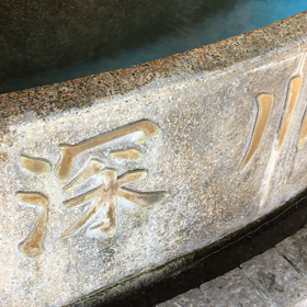 出没中。の画像