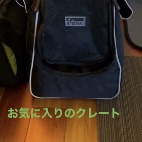 宇野樹君インスタストーリーより　お気に入りのクレートの画像