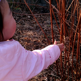 お散歩ブームの画像