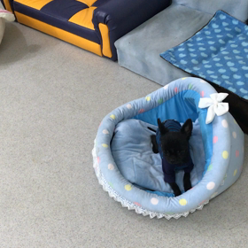 ♪プレイルーム動画♪①の画像