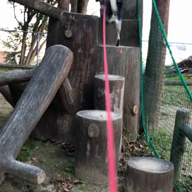 古都の遊び方 ②の画像