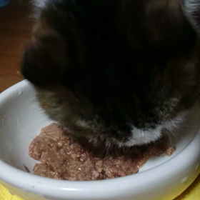 食べた！の画像