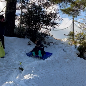 クリスマスは雪で遊べたの画像