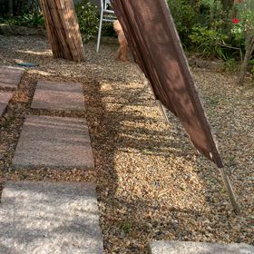 愛犬トイプードルの小太郎くんと散歩の画像