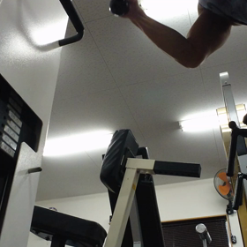 三頭❗(*￣∇￣*)の画像