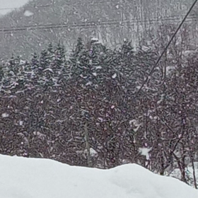 湿った重い雪の画像