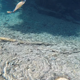 綺麗な水中映像の画像
