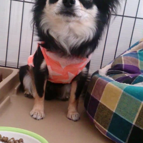 おしゃべり男☆の画像