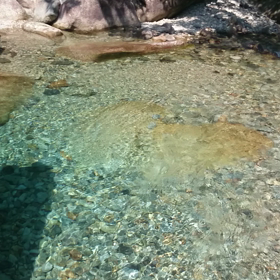 残暑見舞い申し上げますの画像