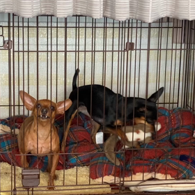 痛くない？の画像