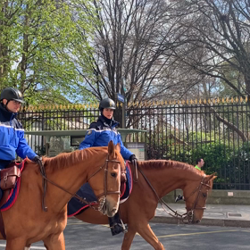 片付けを成功に導く３ステップの画像