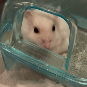 7日目　のびーーーーーの画像