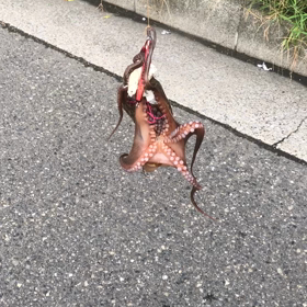 お客様との画像