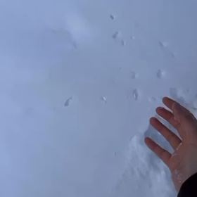 雪だるまの画像