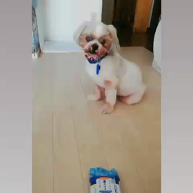 固まる・・・の画像