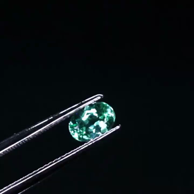 どんどん高騰してますねえ。。。の画像