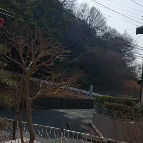 セキレイ？シジュウカラ？の画像