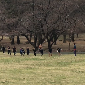 芝生坂ダッシュ(Bグループ)⑥の画像