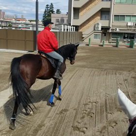 ボンちゃん散歩……の画像