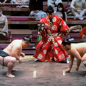 大辻勝ち越しの画像