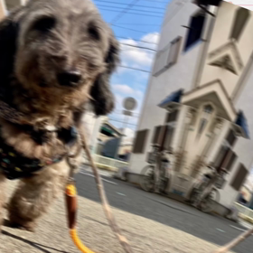 トビ卒業しました✌✨の画像