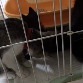 親子の再会！の画像