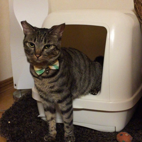 小春動画の画像