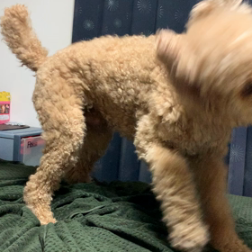 あら❣️あら❓　何してんの❓の画像