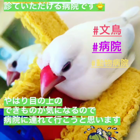 オススメの動物病院を教えてください！！！の画像