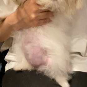 ラビ❤️❤️❤️❤️の画像