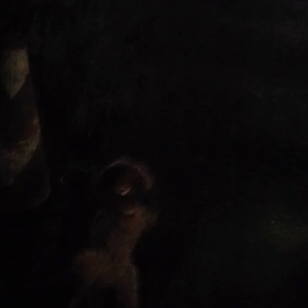 夜の散歩の画像